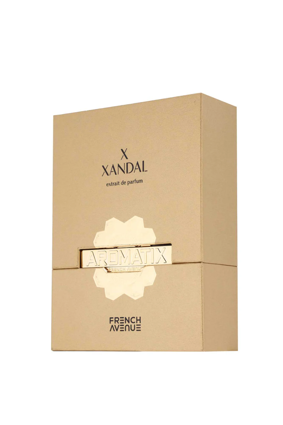 Aromatix X-Xandal Edp 100ml French Avenue by Fragrance World - Image 5