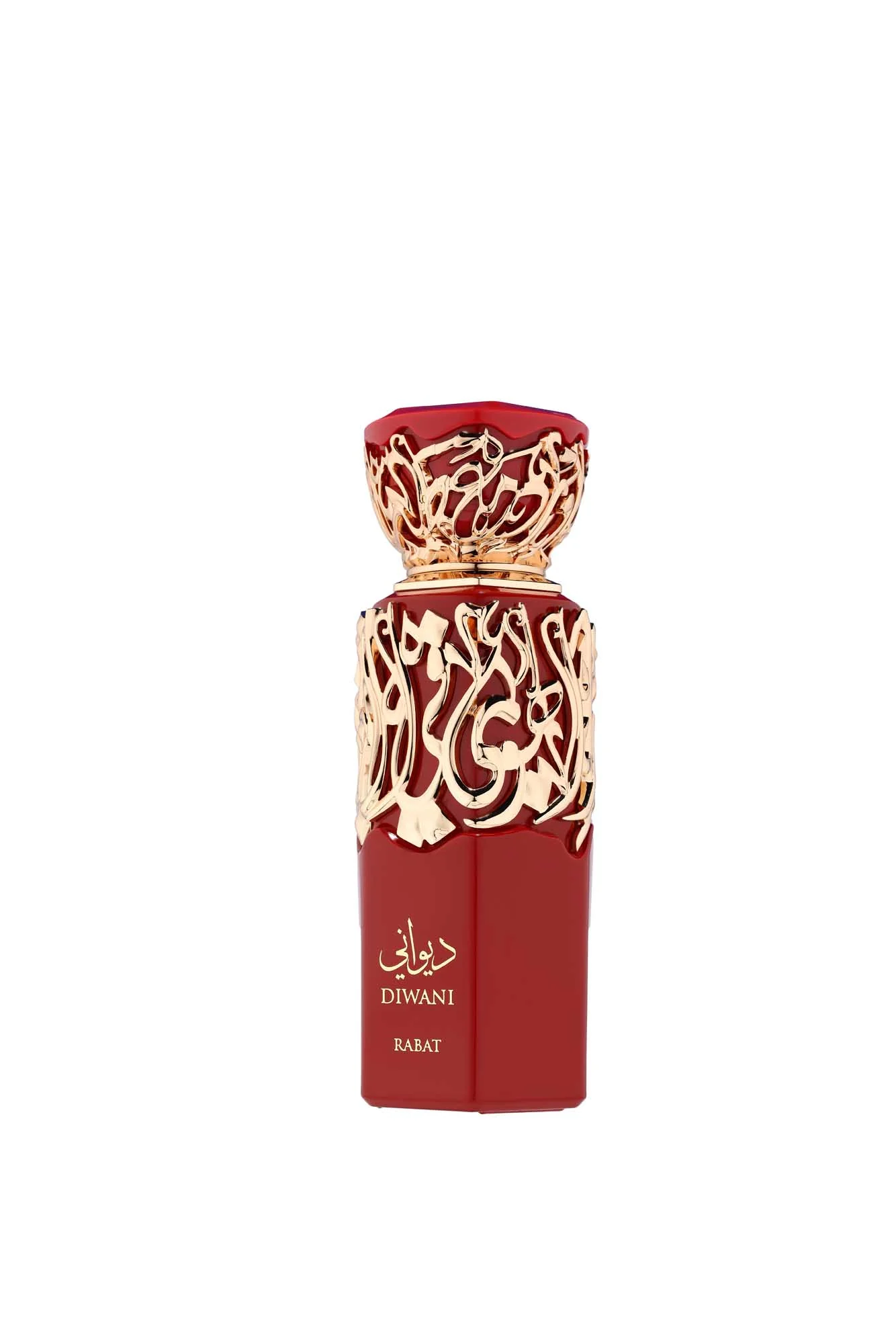 Fragrance World - Diwani Rabat - Eau de Parfum - Perfume For Men, 100ml - Image 3